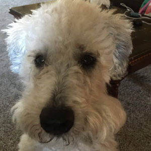 Meet your Posher, Juliah